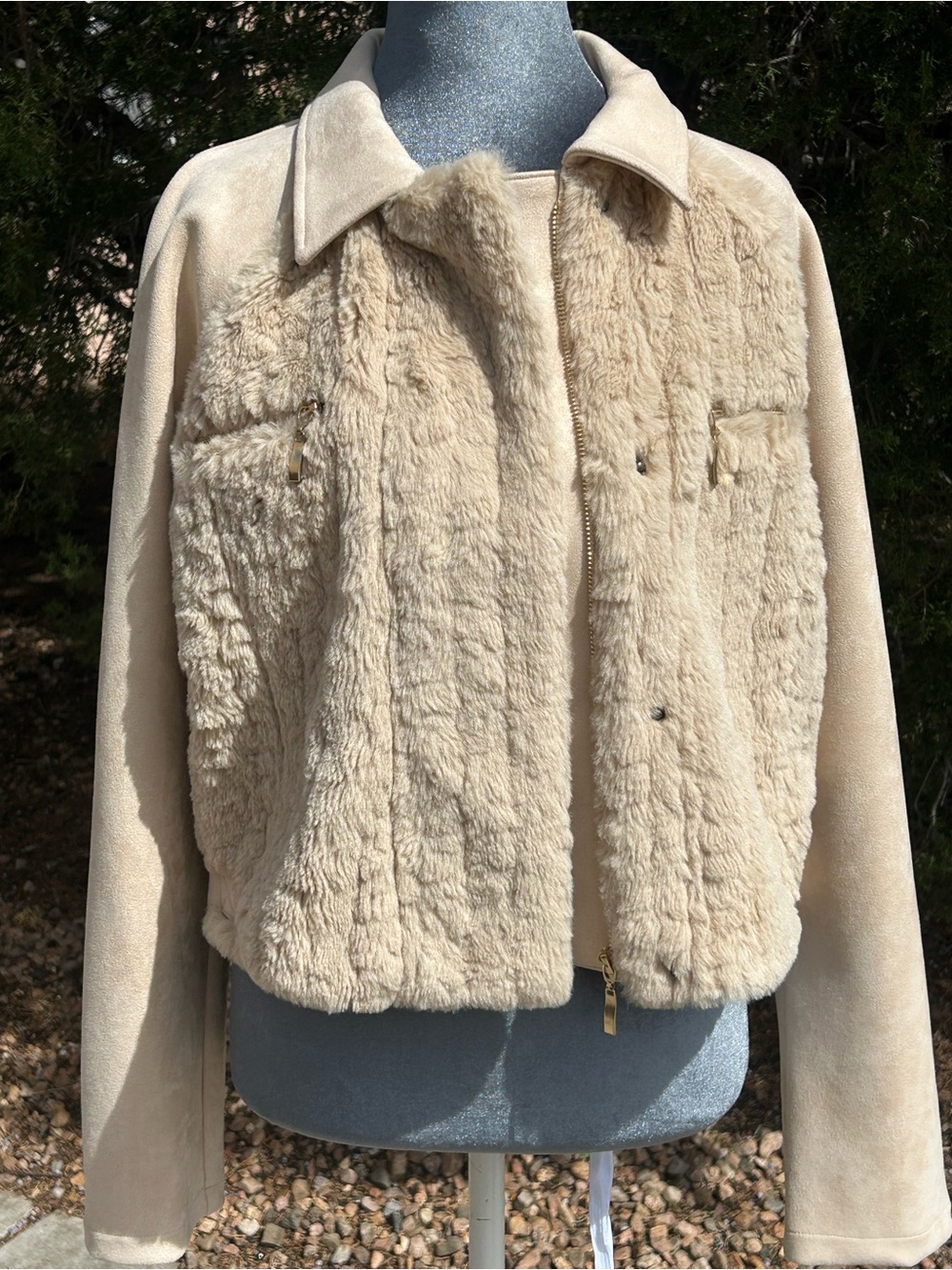 Mystree Cream Cropped Faux-Shearling Teddy Jacket with Suede Sleeves